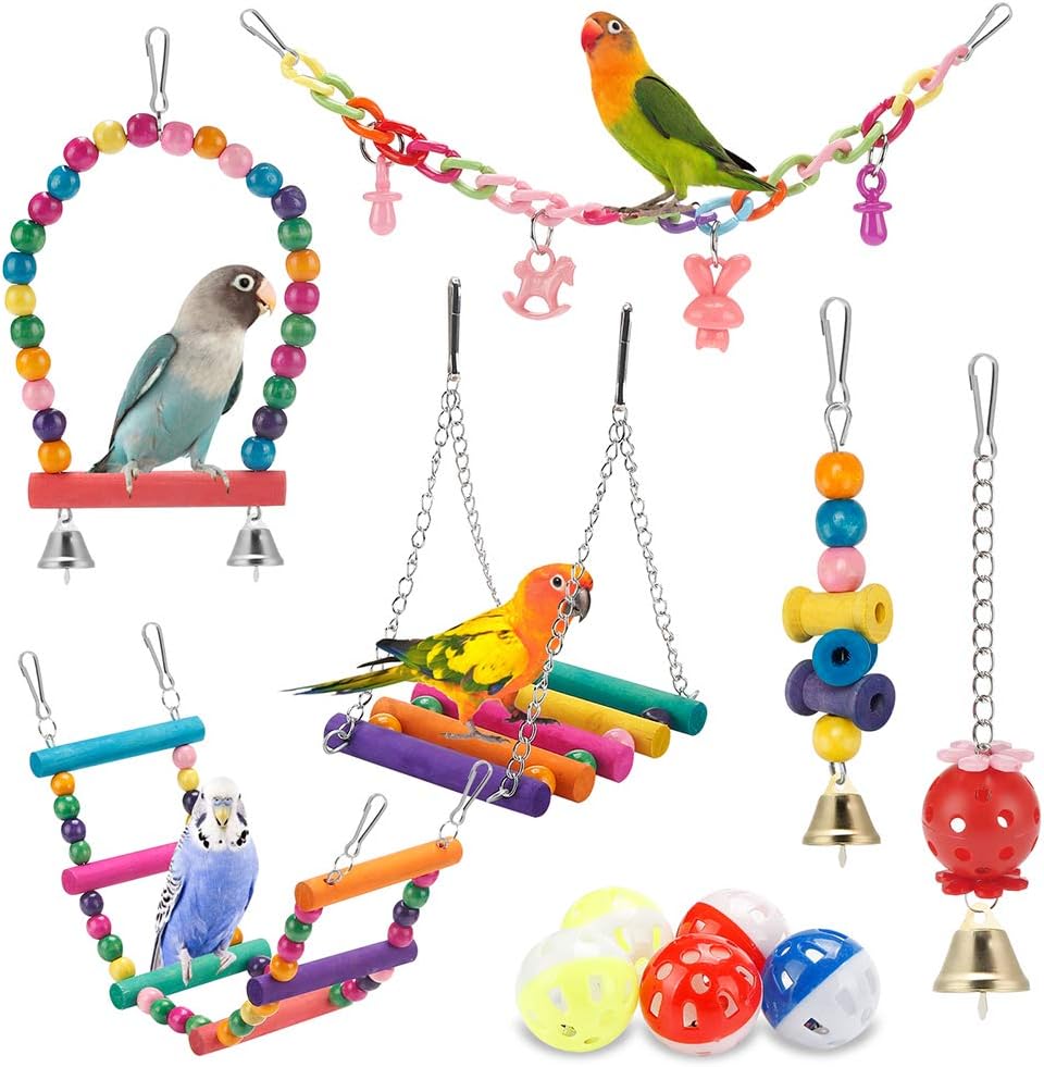 Top 100 Affordable Bird Products on Amazon | Budget-Friendly Picks